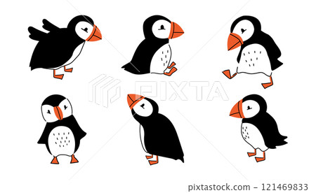 A set of cute black and white puffins. A collection of arctic birds in different poses. A set of cute black and white puffins. A collection of arctic birds in different poses. 121469833
