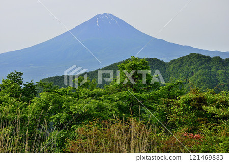 Mount Fuji in early summer as seen from Oishi Pass on the old Wakahikoji Highway in the Misaka Mountains 121469883