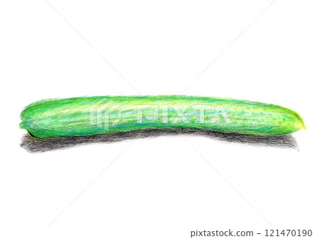 用色鉛筆繪製的手繪黃瓜插畫 121470190