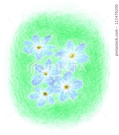 用色鉛筆畫的勿忘我手繪插畫 用色鉛筆畫的勿忘我手繪插畫 121470200