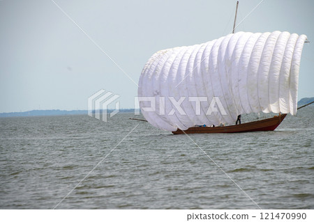 Lake Kasumigaura sailboat 121470990