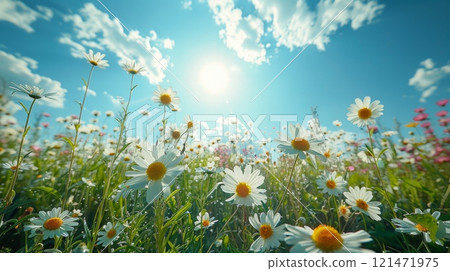 below and on the sides there is grass and wild flowers. 121471975
