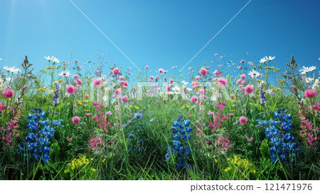 variety of wildflowers fills the lower portion and extends to the sides. 121471976