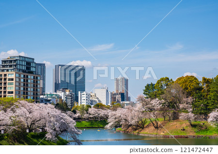 Chidorigafuchi cherry blossoms: Cherry blossoms blooming in the moat Chidorigafuchi cherry blossoms: Cherry blossoms blooming in the moat 121472447