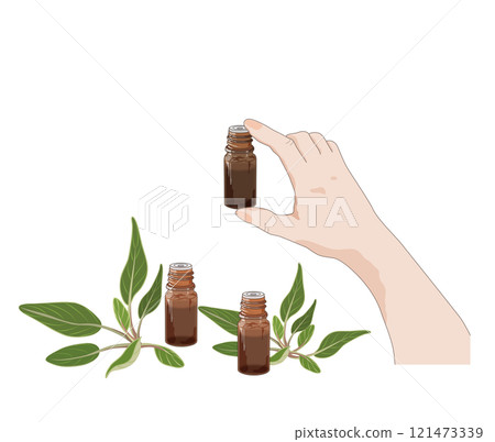 Essential oil in hand, aromatic herbs and essential oil bottle 121473339