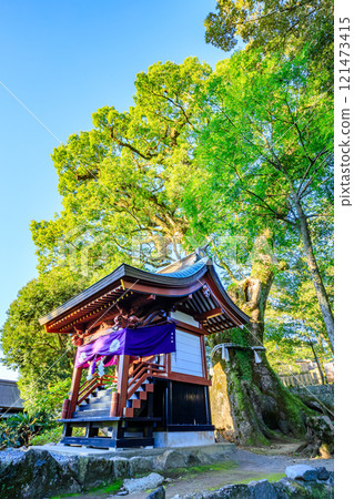Autumn at Kagoshima Shrine, Kirishima City, Kagoshima Prefecture 121473415
