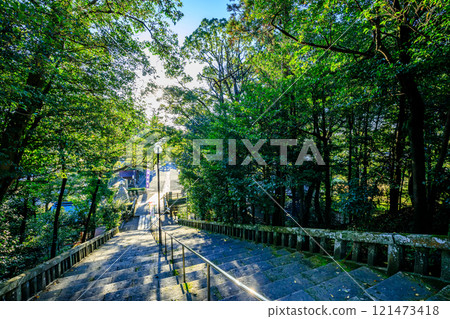 鹿兒島縣霧島市秋天的鹿兒島神社參道 121473418