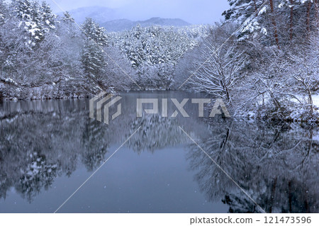 241223壩湖z065 121473596