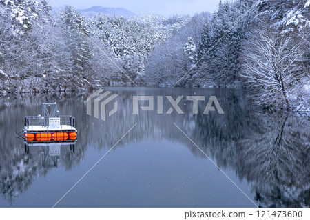 241223壩湖z079 241223壩湖z079 121473600