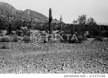 San Tan Mountains Sonora Desert Arizona Monochrome San Tan Mountains Sonora Desert Arizona Monochrome 121474166
