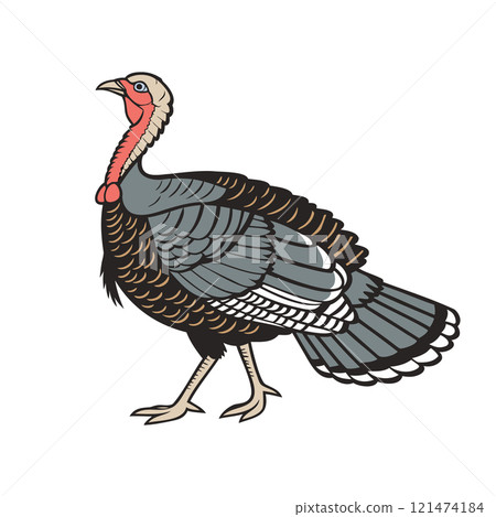 Turkey bird isolated on white background. Hand drawn  illustration 121474184