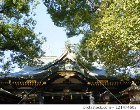 A shrine hall surrounded by trees | Anahachiman Shrine 121474602