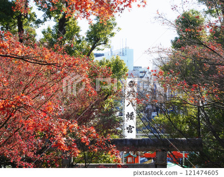 Scenery seen from the shrine colored by autumn leaves | Anahachimangu Shrine 121474605