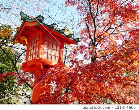 A tower surrounded by autumn leaves | Anahachimangu Shrine 121474606