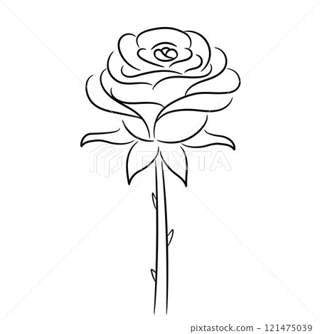hand drawn sketches of rose line art 121475039