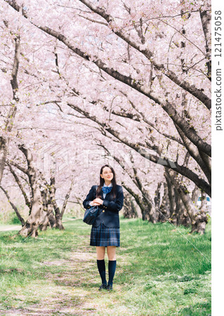 櫻花樹與女高中生 121475058