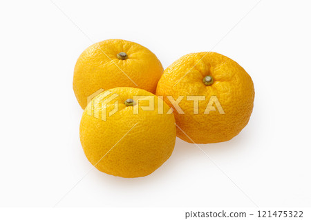 Citron Citron 121475322
