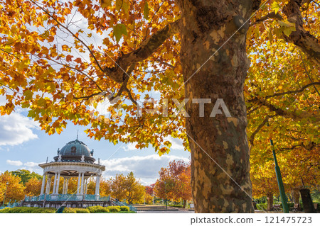 Tsuruma Park's Concert Hall and yellow-colored plane trees (Nagoya City, Aichi Prefecture) Tsuruma Park's Concert Hall and yellow-colored plane trees (Nagoya City, Aichi Prefecture) 121475723