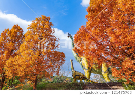 論會公園、紅葉的水杉(愛知縣豐橋市) 論會公園、紅葉的水杉(愛知縣豐橋市) 121475763