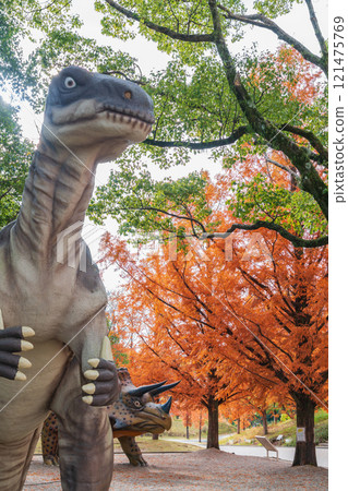 Nonhoi Park, Metasequoia trees turning red in autumn (Toyohashi City, Aichi Prefecture) Nonhoi Park, Metasequoia trees turning red in autumn (Toyohashi City, Aichi Prefecture) 121475769