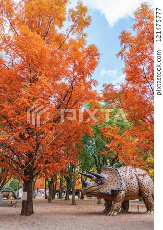 Nonhoi Park, Metasequoia trees turning red in autumn (Toyohashi City, Aichi Prefecture) Nonhoi Park, Metasequoia trees turning red in autumn (Toyohashi City, Aichi Prefecture) 121475777