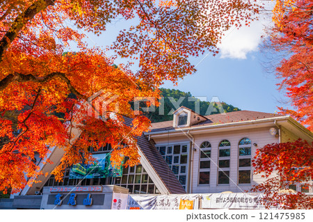 In front of Kiyotaki Station on the Keio Line at Mount Takao in autumn, with the morning sun shining through 121475985