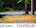 Ginkgo fallen leaves 121476140