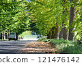Road surrounded by fresh green 121476142