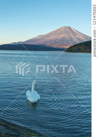 Beautiful view of Mt. Fuji and Lake Yamanaka in autumn, Yamanashi, Japan 121476883