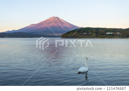 Beautiful view of Mt. Fuji and Lake Yamanaka in autumn, Yamanashi, Japan Beautiful view of Mt. Fuji and Lake Yamanaka in autumn, Yamanashi, Japan 121476887