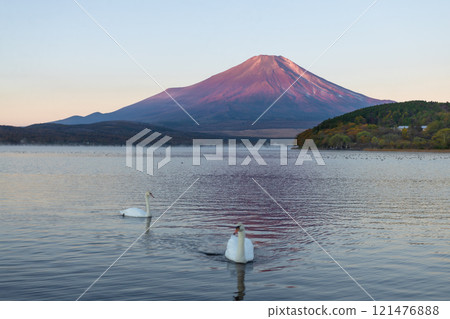 Beautiful view of Mt. Fuji and Lake Yamanaka in autumn, Yamanashi, Japan 121476888
