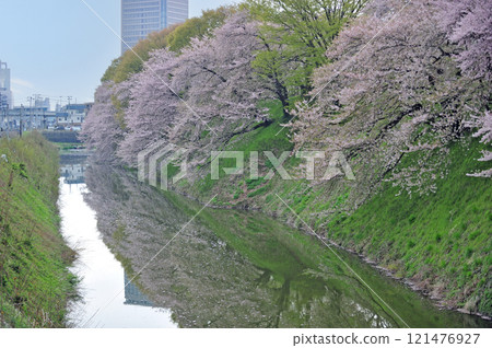 Yamagata Shinkansen - Kitayamagata - Yamagata JR East Yamagata Castle Ruins Yamagata Shinkansen - Kitayamagata - Yamagata JR East Yamagata Castle Ruins 121476927