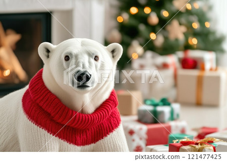 Festive Polar Bear Wrapped in Winter Attire Festive Polar Bear Wrapped in Winter Attire 121477425