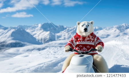 Polar Bear Enjoys a Snowmobile Ride in the Snow Polar Bear Enjoys a Snowmobile Ride in the Snow 121477433