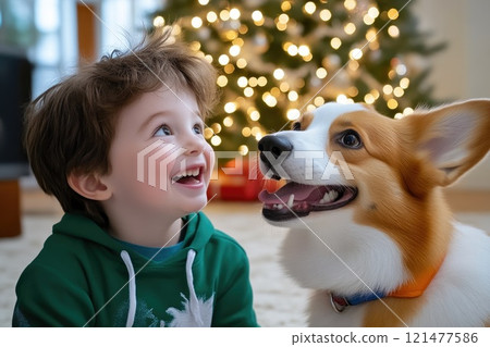 Playful Corgi and Child Enjoying Holiday Cheer Playful Corgi and Child Enjoying Holiday Cheer 121477586