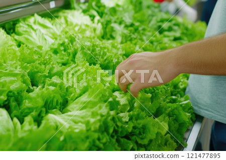 Shopper inspecting fresh parsley in a grocery store 121477895