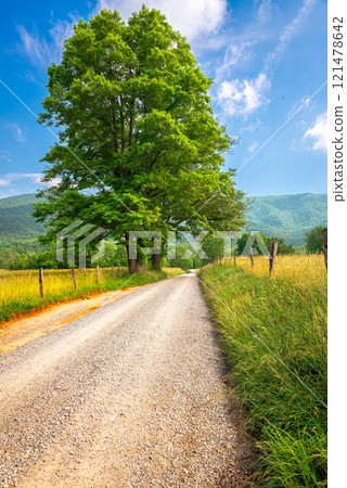 Sparks Lane in Cades Cove near Gatlinburg, Tennessee, USA during summer season. 121478642