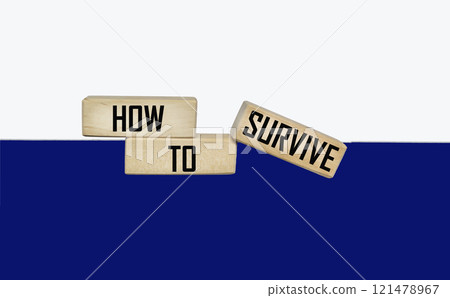 How to Survive words on wooden blocks. The concept of survival of a business startup. 121478967
