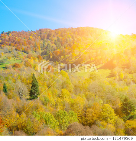 Colorful autumn landscape in the forest and bright Sunrise. Carpathian Ukraine. Colorful autumn landscape in the forest and bright Sunrise. Carpathian Ukraine. 121479569