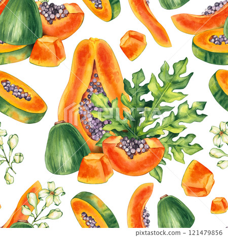 Watercolor papaya tropical fruit hand drawn pattern Watercolor papaya tropical fruit hand drawn pattern 121479856