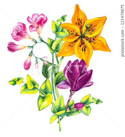 Floral illustration with freesia magnolia and lily 121479875
