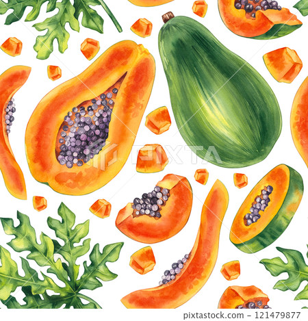 Watercolor papaya tropical fruit hand drawn pattern 121479877