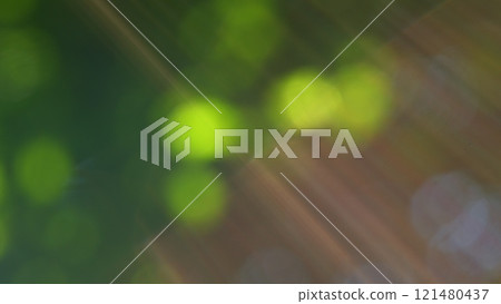 Beams Of Light. Soft Sunrays Through Foliage Of Plants. Blurred Abstract Bokeh With Sun Flare. Bokeh. Beams Of Light. Soft Sunrays Through Foliage Of Plants. Blurred Abstract Bokeh With Sun Flare. Bokeh. 121480437