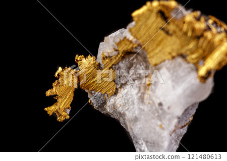 macro mineral stone gold in the rock on a black background 121480613
