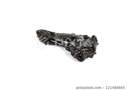 Macro stone mineral meteorite tektite on white background 121480665