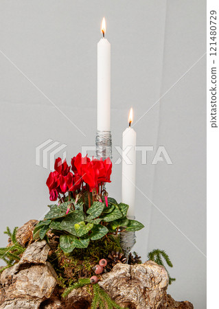 Christmas composition of flowers and Christmas decorations 121480729