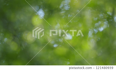 Beautiful Sunlight In Forest. Deciduous Trees In A Mixed Forest In Spring Season. Concept Nature Or Oxygen, Climate Change. Bokeh. 121480939