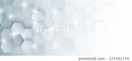 Hexagon abstract background with simple polygonal elements Hexagon abstract background with simple polygonal elements 121481134