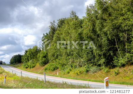 Country road in the middle of a field. Rural landscape. 121481277