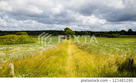 Beautiful landscape green field with flowers and sky with clouds. Sky before the rain. Beautiful landscape green field with flowers and sky with clouds. Sky before the rain. 121481280
